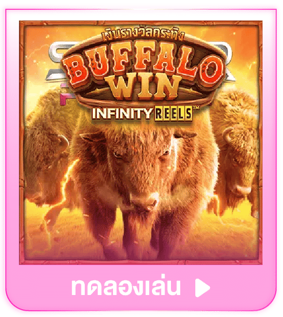 ทดลองเล่น Buffalo Win