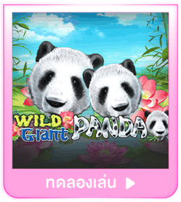 ทดลองเล่น Wild Giant Panda